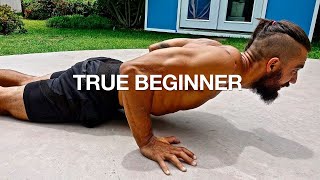 Full Body Workout NO GYM BEGINNERS FOLLOW ALONG [upl. by Valli]