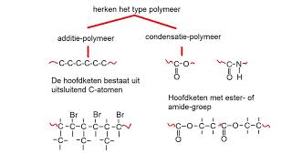 samenvatting havo polymeren [upl. by Amargo941]