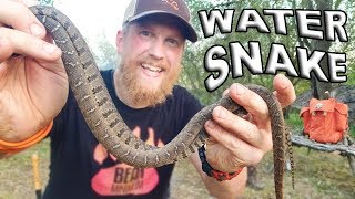 Catch And Cook Water Snake  Day 7 Of 30 Day Survival Challenge Texas [upl. by Lotz403]