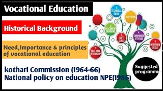 Vocational Education  Vocationalisation of Education  Need  importance and principles  BEd [upl. by Yursa]