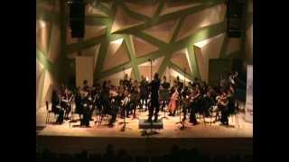 Haydn Symphony No 44 TelAviv Soloistschildren [upl. by Fenny]