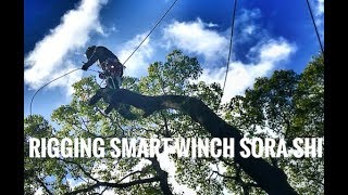 Smart Winch  Rigging  Cutting  pruning  Gopro  Arborist [upl. by Hogan]