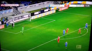 Hoffenheim gegen Bayer Leverkusen 20132014 Skandaltor [upl. by Siderf276]