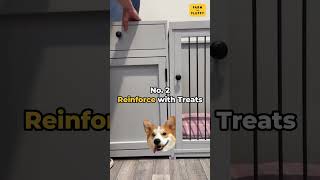 3 Ways To Crate Train Your Dog 🐶✅ cratetraining dogshorts dogtricks [upl. by Daggett]