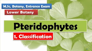 Classification  Pteridophytes [upl. by Atikal]