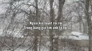 Tombe La Neige  Tuyết Rơi song by Salvatore Adamo with French amp Vietnamese lyrics [upl. by Aninat]