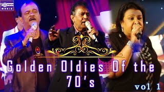 Golden Oldies Of The 70S Live in Concert  Vol 1 [upl. by Whitcher]