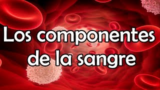 Los componentes de la sangre [upl. by Aidualk730]