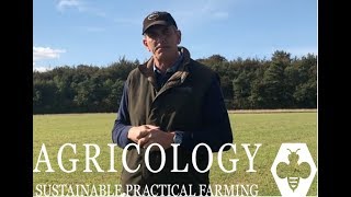 Sainfoin Nutritional Analysis  Agricology Vlog Sept 18 [upl. by Felix]