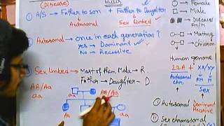 6 Pedigree analysis  autosomal recessive [upl. by Alarick]