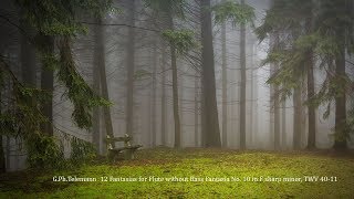 Telemann  12 Fantasias for Flute without Bass Fantasia No10 ﾃﾚﾏﾝquot無伴奏ﾌﾙｰﾄのための12の幻想曲quot から 第10番 [upl. by Kushner588]