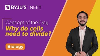 Why do cells need to divide  BIOLOGY  NEET  Concept of the Day  Pushpendu Sir [upl. by Ecirtam307]