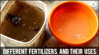 Uses of Different Fertilizers  Different Types of Fertilizers  Made By Plant Care with Sahar [upl. by Dnumyar]