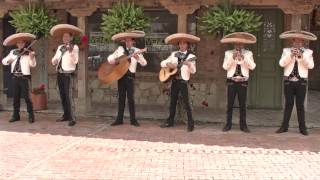 novia mia  mariachi aguilas de plata [upl. by Bannerman]