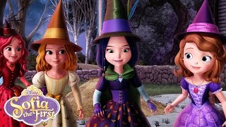 The Broomstick Dance  Music Video  Sofia the First  disneyjr [upl. by Benedetto]