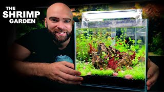 The Shrimp Garden ALL in ONE Kit Aquarium [upl. by Dnar908]