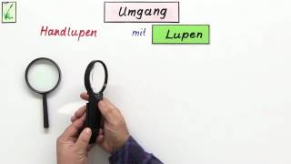 MIKROSKOP UND LUPE  Biologie  Biologie der Zellen [upl. by Kevin271]