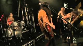 Stonefield  Whole Lotta Love Cover Triple J presents [upl. by Carr89]