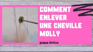 ASTUCE PLACO comment enlever une cheville molly [upl. by Clausen]