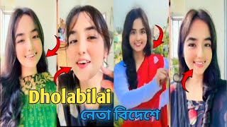 Dholabilai Er নেতা বিদেশে 😈 Roast Dholabilai96😈 SOIEB ROASTED [upl. by Llerruj]