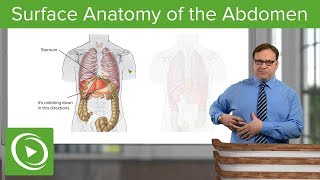 Surface Anatomy of the Abdomen – Anatomy  Lecturio [upl. by Seroled231]