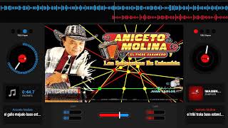 ANICETO MOLINA MIX BAILABLES 2024 BASS 🎶🎹♪♫⚡🎧😈ÐJ JUλ₦ ₡λŘŁØŞ λŁVλŘλÐØ★ [upl. by Monroe]