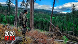 FULL DRAW ON A 6 POINT  Washington OTC Archery Elk Hunt  2020 Hunting Season EP06 [upl. by Uwkuhceki499]