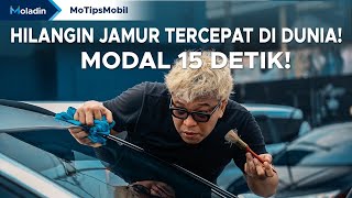 Cara Menghilangkan Jamur Kaca Mobil Paling Mudah dan Cepat yang Jarang Orang Tau  Moladin [upl. by Ophelie]