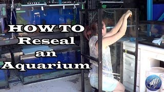 How to Reseal an Aquarium [upl. by Iverson]