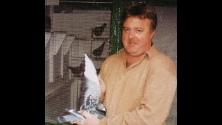 Video 312 Steve Carder of Sheffield Premier Pigeon Racer [upl. by Nosreg]