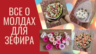 ВСЕ О МОЛДАХ ДЛЯ ЗЕФИРА  ЗЕФИР В МОЛДАХ  МОЛДЫ ДЛЯ ЗЕФИРА [upl. by Idelson990]