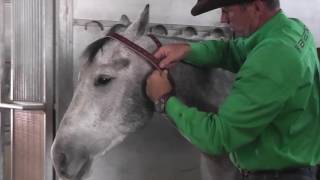 Miracle Collar® for Cribbing Horses [upl. by Nylzaj]