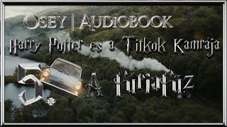 Harry Potter és a Titkok Kamrája hangoskönyv  5 fejezet [upl. by Josias]