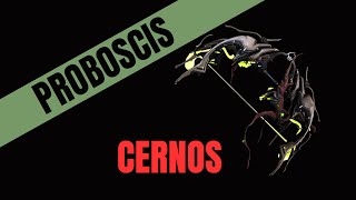 Warframe 2023 Proboscis Cernos Build [upl. by Hartley]