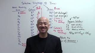 OLevel Chemistry  IP Chemistry Selective Discharge of Ions in Electrolytic Cells – Part 1 [upl. by Consuelo]