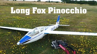 Long Fox Pinocchio Reichard Modelsport  35m scale RC glider  4K  Rokytnice 2023 [upl. by Augusta716]