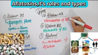 AflatoxinsMycotoxinsFull explaination in Hindi biochemistry [upl. by Maximo]