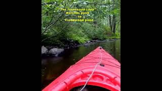 quotFloodwood Loopquot Rollins pond to Floodwood pond Adirondack Flat Water Kayak Adventure fun shorts [upl. by Yelserp]