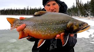 FIRST ICE 20232024 SEASON Very nice FISH [upl. by Alegnave372]