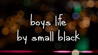 Small Black  Boys Life fan lyric video [upl. by Benia]