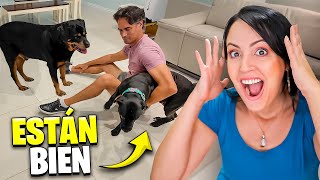 UN DÍA SE ODIAN Y OTRO SE AMAN 🤭 Sandra Cires Vlog [upl. by Buchanan]