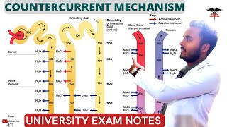 Countercurrent Mechanism  Countercurrent Multiplier  Countercurrent Exchanger Symstem [upl. by Gil]