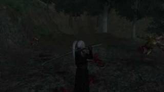 oblivion  valenwood border massacre [upl. by Gaskin]