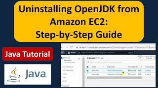 How to uninstall OpenJDK from Amazon EC2 Instance or Linux Operating System [upl. by Chadabe721]