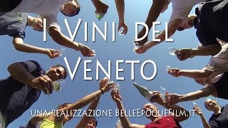 I Vini del Veneto [upl. by Ramirol606]