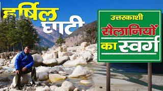 Visit Uttarkashi  सैलानियों का स्वर्ग Harsil ghati । देखिए लामा टेकरी टॉप  Rural Tales [upl. by Suoicul]