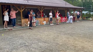 Best Bocce Shots Compilation 2 [upl. by Aceissej285]