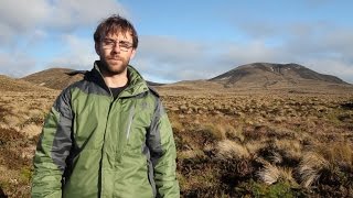 Winter in the Subantarctic Antipodes Island terrestrial ecology [upl. by Raclima]