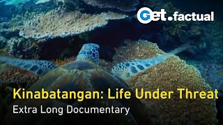 Kinabatangan River of Life and Loss  Extra Long Documentary [upl. by Leimaj]