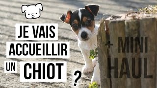 Je vais accueillir un chiot   mini haul [upl. by Annahsed]